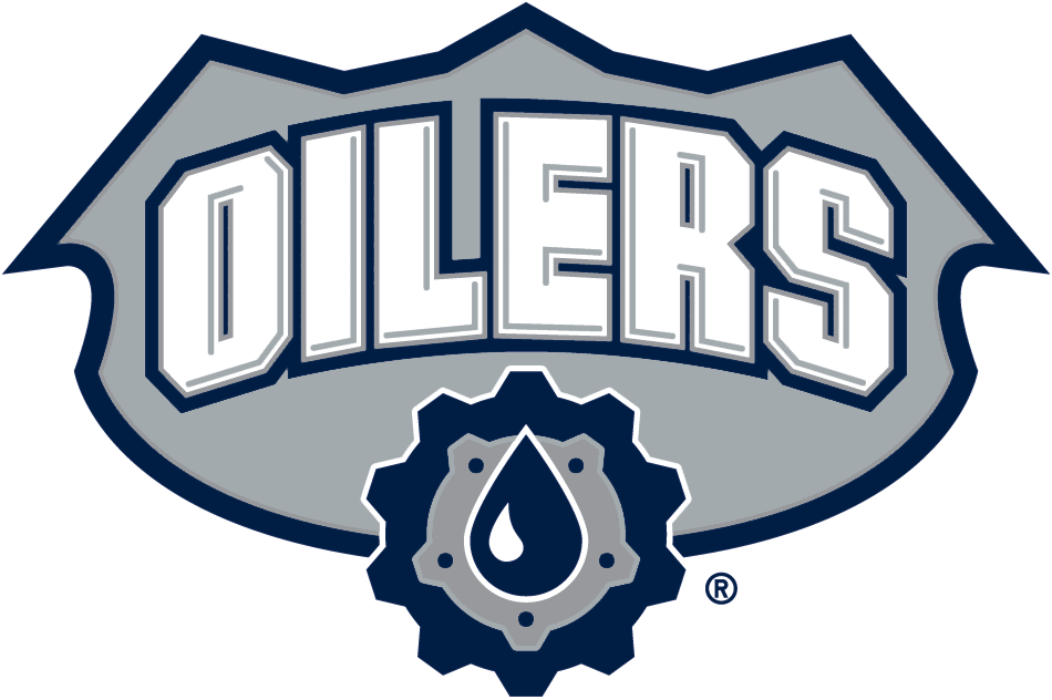 Edmonton Oilers 2001-2007 Alternate Logo iron on transfers for fabric